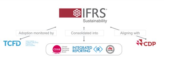 IFRS structure diagram