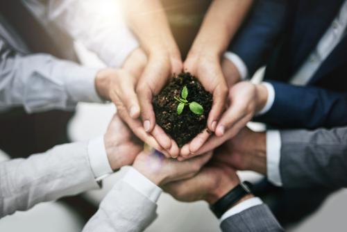 Canadian boards tackling environmental issues, poll finds