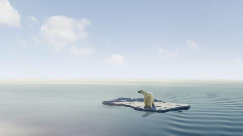 polar bear floating on piece of ice